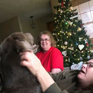 Meet your Posher, Sharon